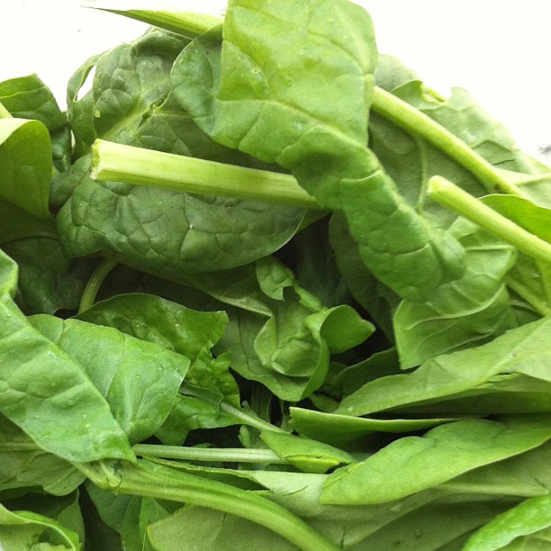 934131_603034757979_368896408_n