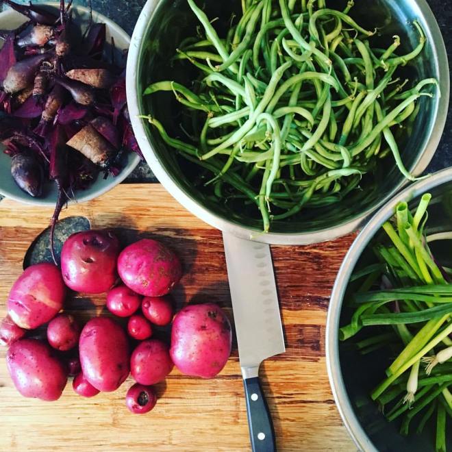 19442053_10155995453202137_3436275860541109257_o